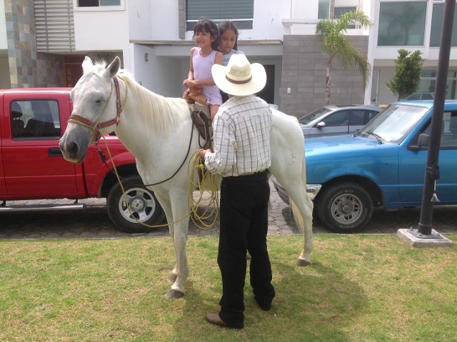 caballos a tu fiesta
